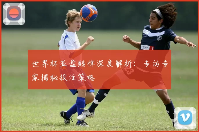 世界杯亚盘赔律深度解析：专访专家揭秘投注策略