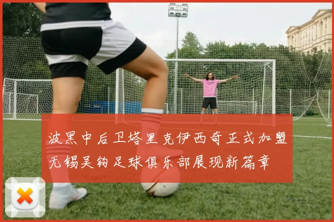 波黑中后卫塔里克伊西奇正式加盟无锡吴钩足球俱乐部展现新篇章