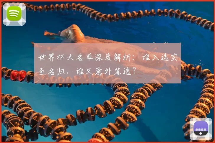世界杯大名单深度解析:谁入选实至名归,谁又意外落选?