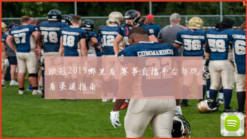 欧冠2019哪里看 赛事直播平台与观看渠道指南