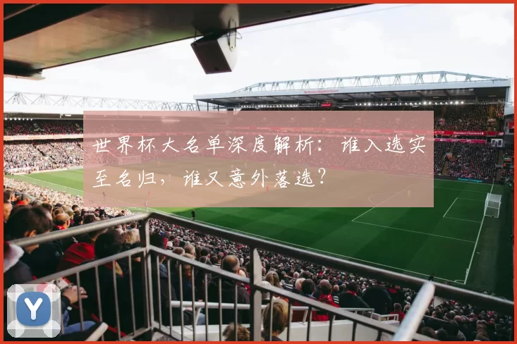 世界杯大名单深度解析:谁入选实至名归,谁又意外落选?