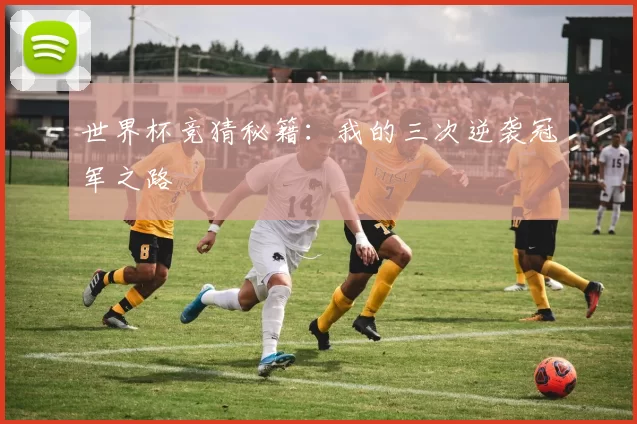 世界杯竞猜秘籍:我的三次逆袭冠军之路