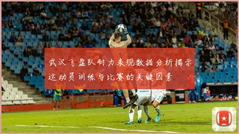 武汉飞盘队耐力表现数据分析揭示运动员训练与比赛的关键因素