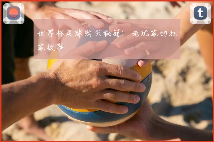 世界杯足球购买秘籍:老玩家的独家故事