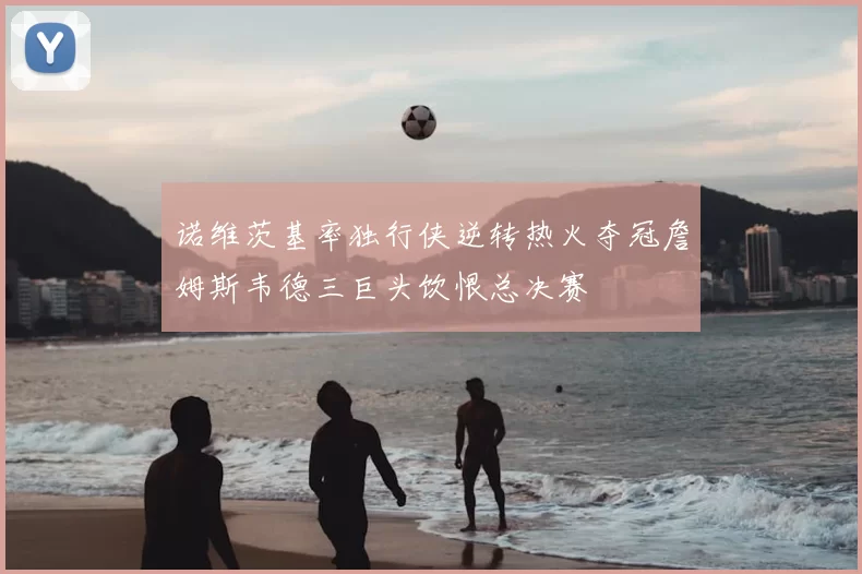 诺维茨基率独行侠逆转热火夺冠詹姆斯韦德三巨头饮恨总决赛