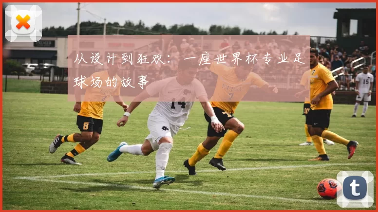 从设计到狂欢:一座世界杯专业足球场的故事