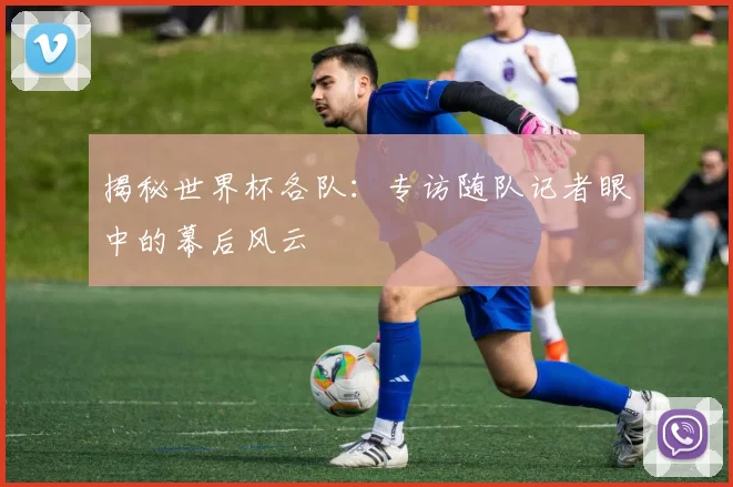 揭秘世界杯各队：专访随队记者眼中的幕后风云
