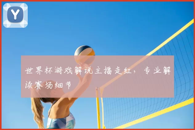 世界杯游戏解说主播走红,专业解读赛场细节