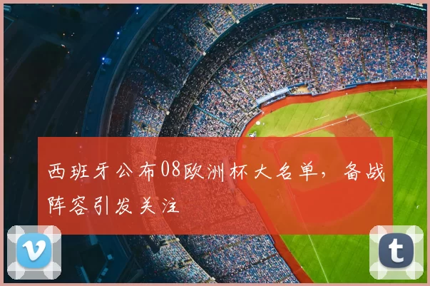 西班牙公布08欧洲杯大名单,备战阵容引发关注