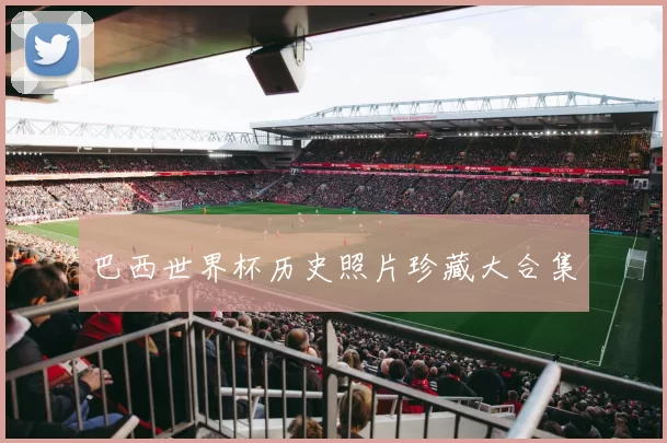 巴西世界杯历史照片珍藏大合集