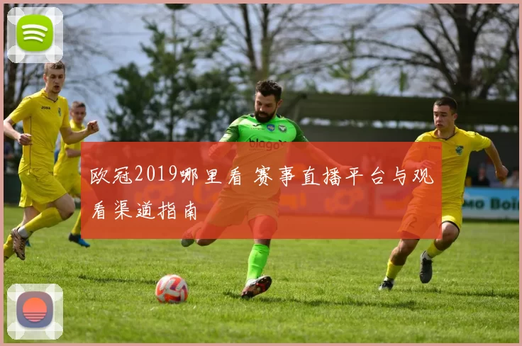 欧冠2019哪里看 赛事直播平台与观看渠道指南