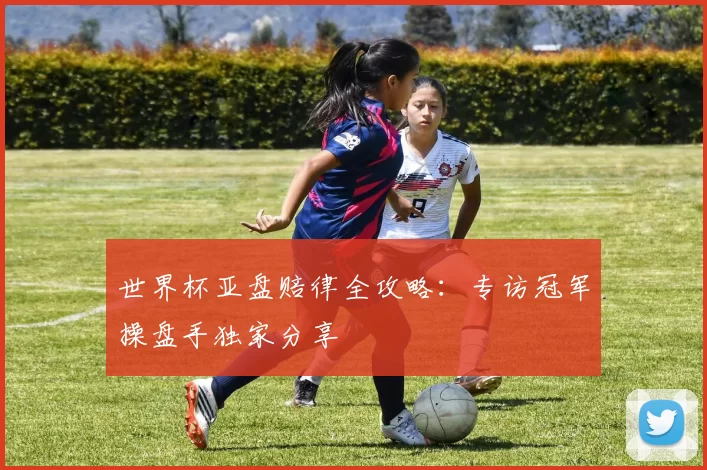 世界杯亚盘赔律全攻略:专访冠军操盘手独家分享