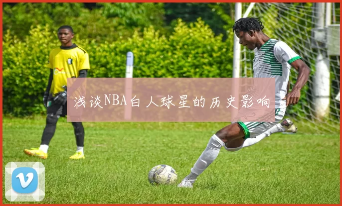 浅谈NBA白人球星的历史影响