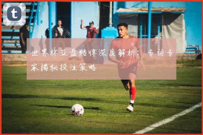 世界杯亚盘赔律深度解析:专访专家揭秘投注策略