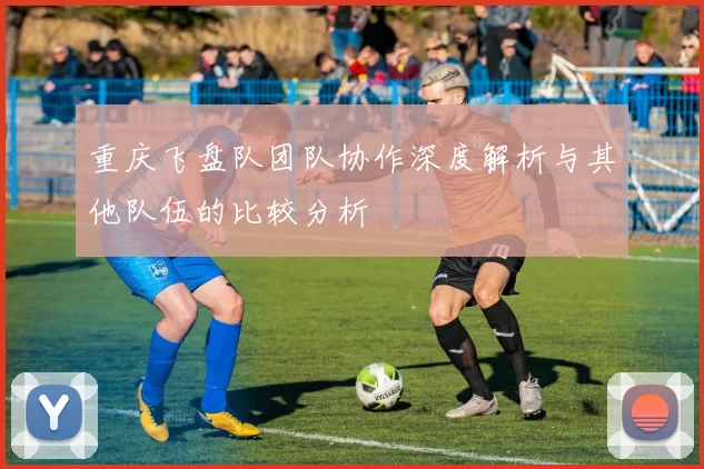 重庆飞盘队团队协作深度解析与其他队伍的比较分析